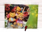 پاکت A4 فانتزی طرح دار پاپکو Papco