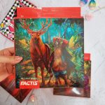 مداد رنگی فکتیس Factis - تصویر 4