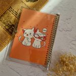 دفتر کلاسوری شفاف آپادانا - تصویر 3