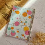 دفتر کلاسوری شفاف آپادانا - تصویر 6