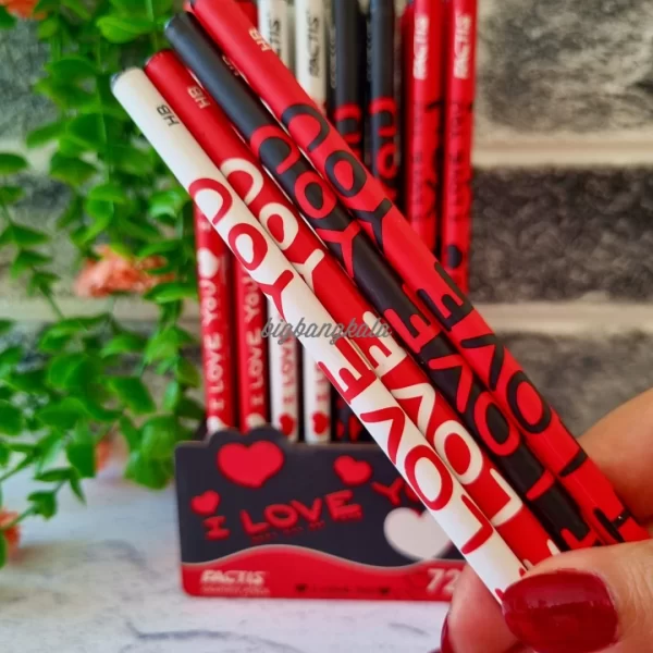Factis I Love You2