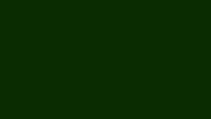 img2-300x169